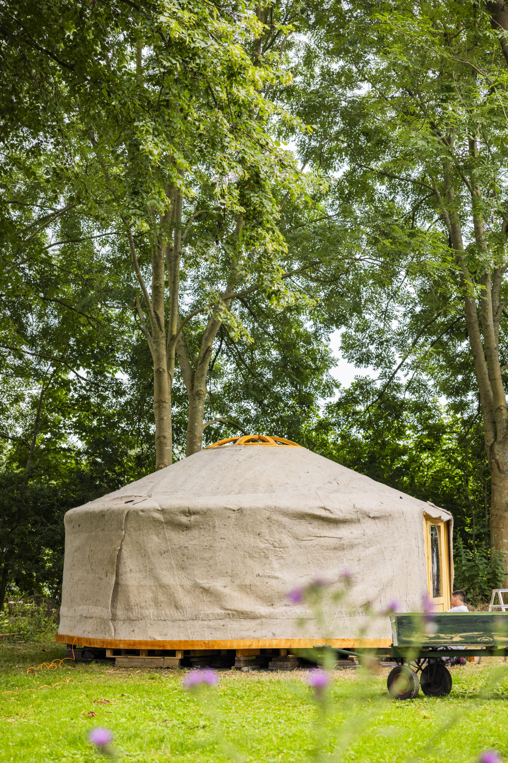 Yurt in groene tuin, rustige omgeving